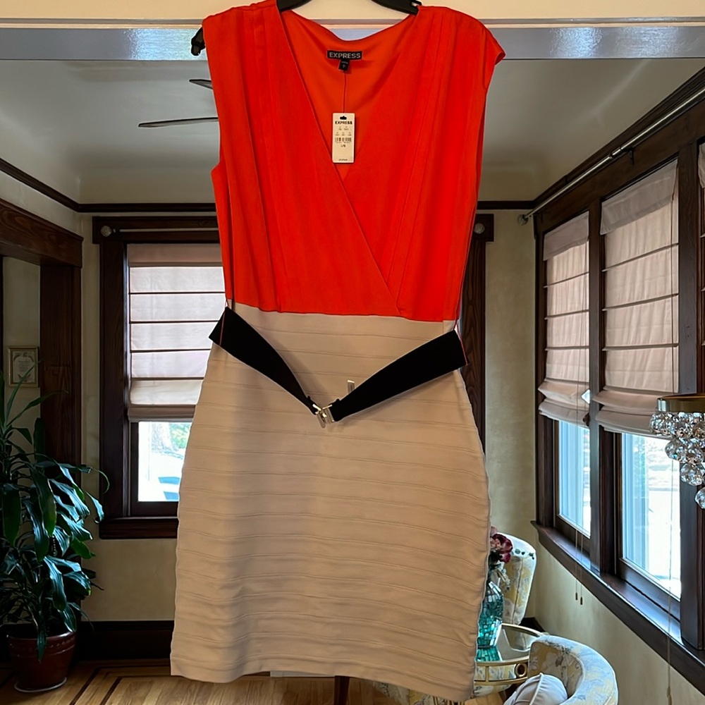 Express Belted Dress